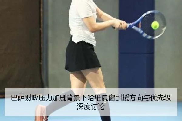 ba-sa-cai-zheng-ya-li-jia-ju-bei-jing-xia-ha-wei-xia-chuang-yin-yuan-fang-xiang-yu-you-xian-ji-shen-du-tao-lun-2-428.jpg