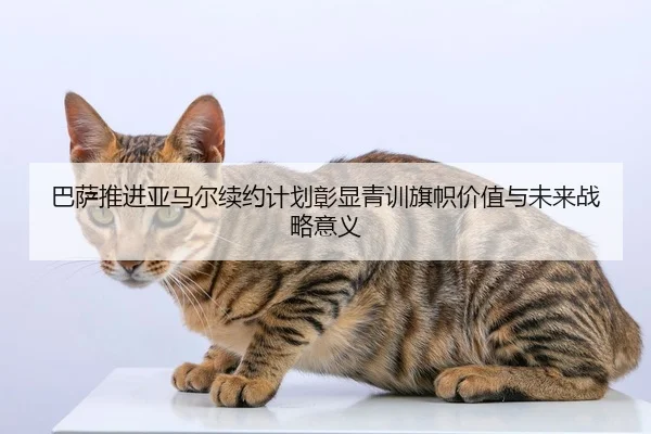 巴萨推进亚马尔续约计划彰显青训旗帜价值与未来战略意义